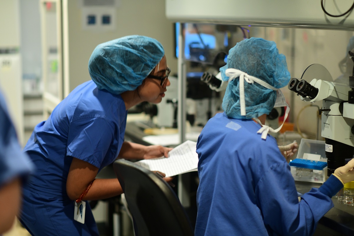 A Day in the Life of an Embryologist