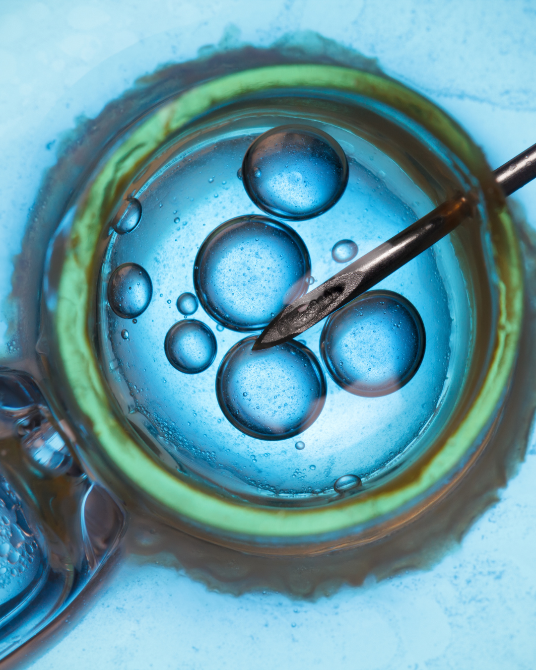 Decoding Egg Health: What Quantity and Quality Mean for Fertility