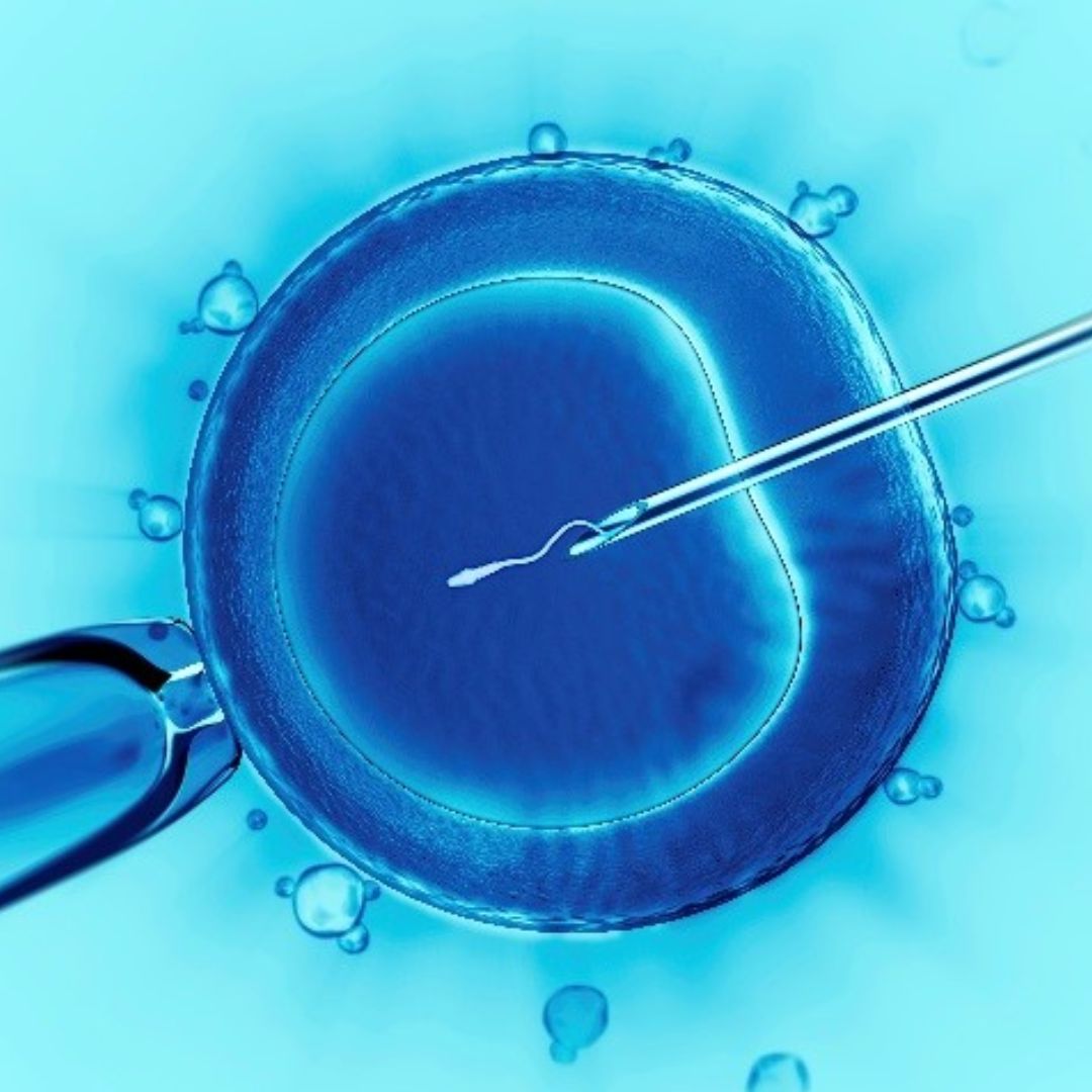 Navigating the Twists & Turns of IVF