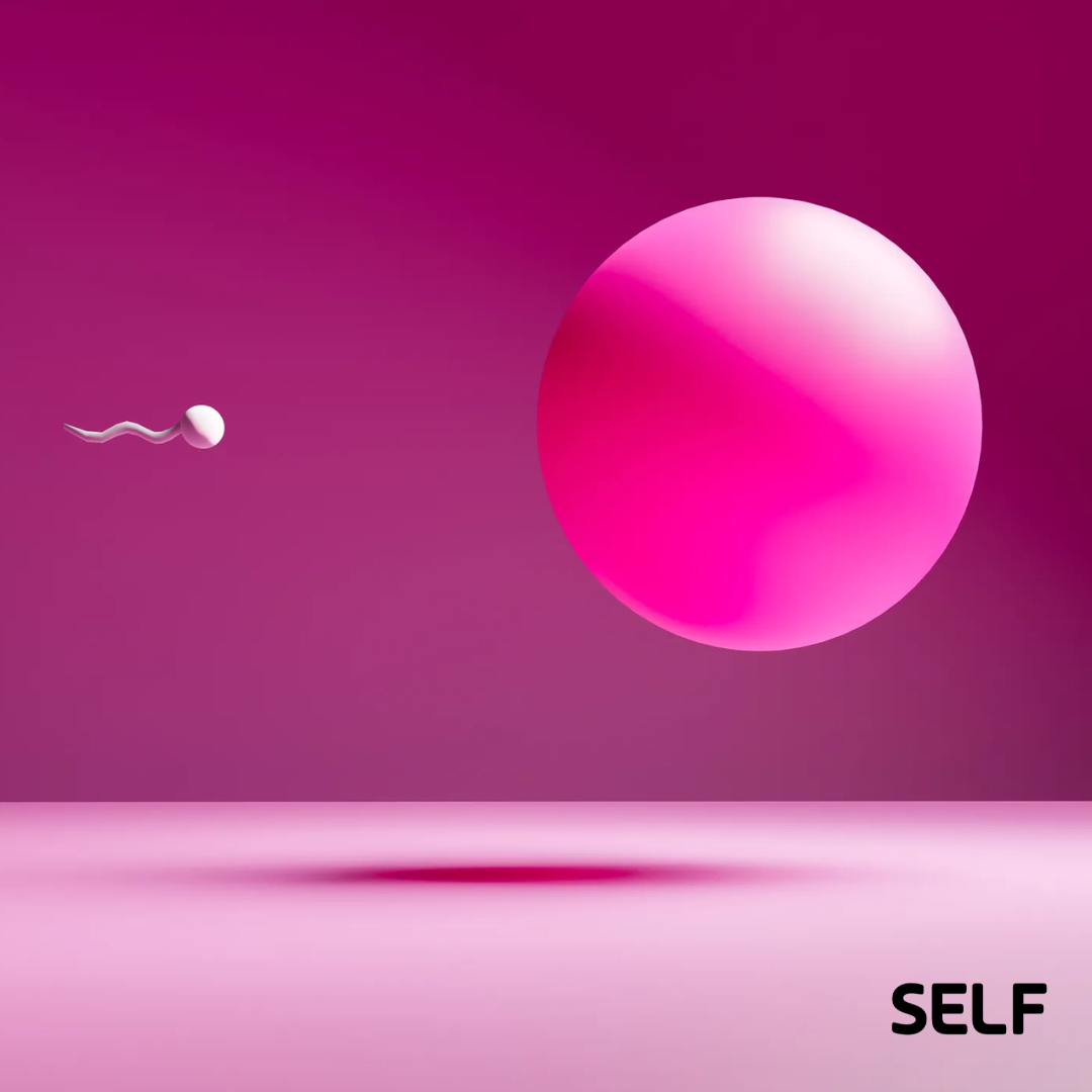 SELF: Can You Really Improve Your Egg Quality—and Fertility—With Lifestyle Changes?