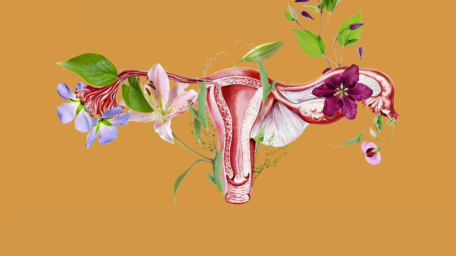 Inside the New Frontier of Fertility Testing