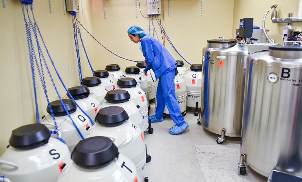 Lawyers, Increasingly Busy With Billable Hours, Look to Delay Childbearing by Freezing Embryos and Eggs