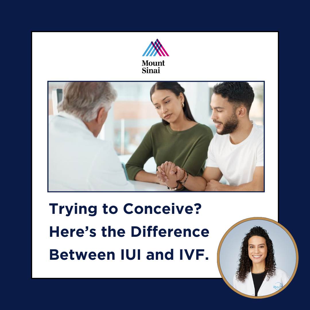 Mount Sinai Today: The Difference Between IUI and IVF