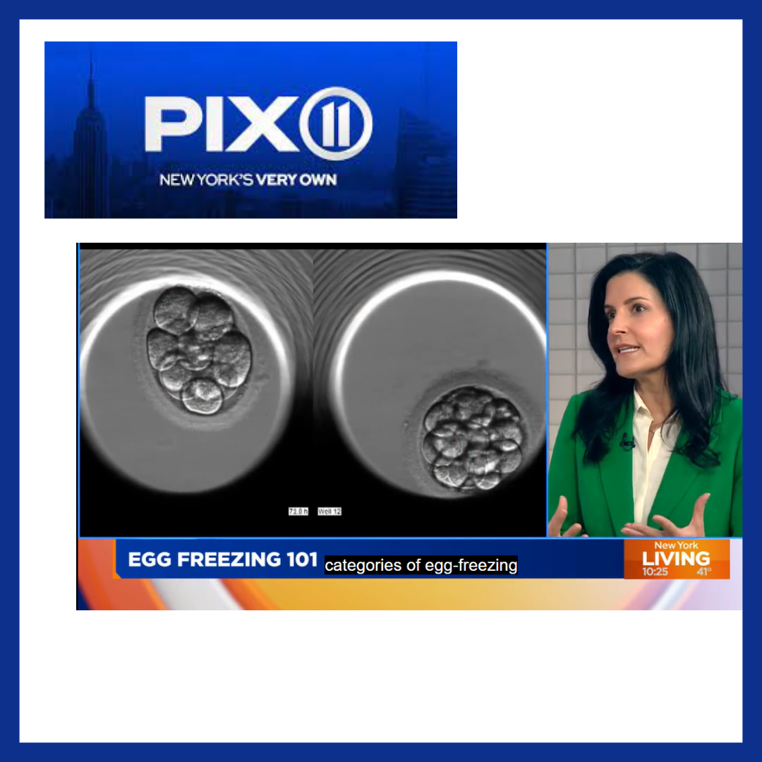 OBGYN Discusses Egg Freezing Process