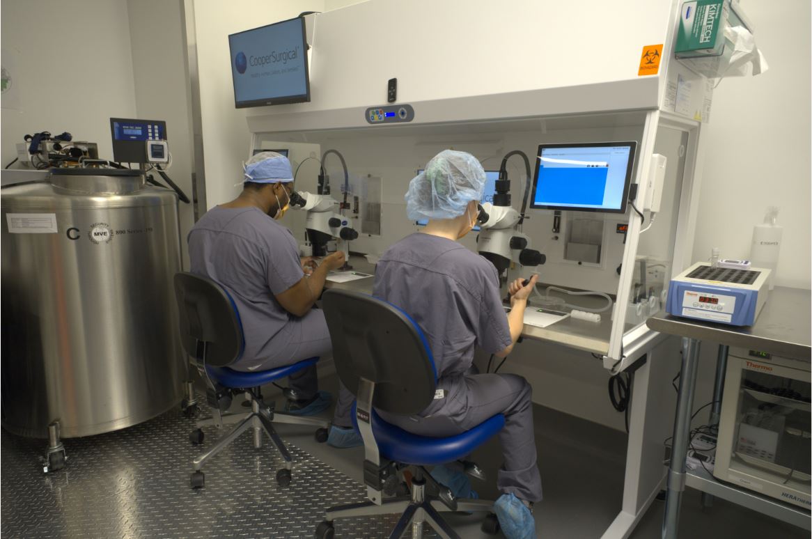 RMA of New York Redefines Excellence with Record ASRM Honors for Breakthrough Fertility Research